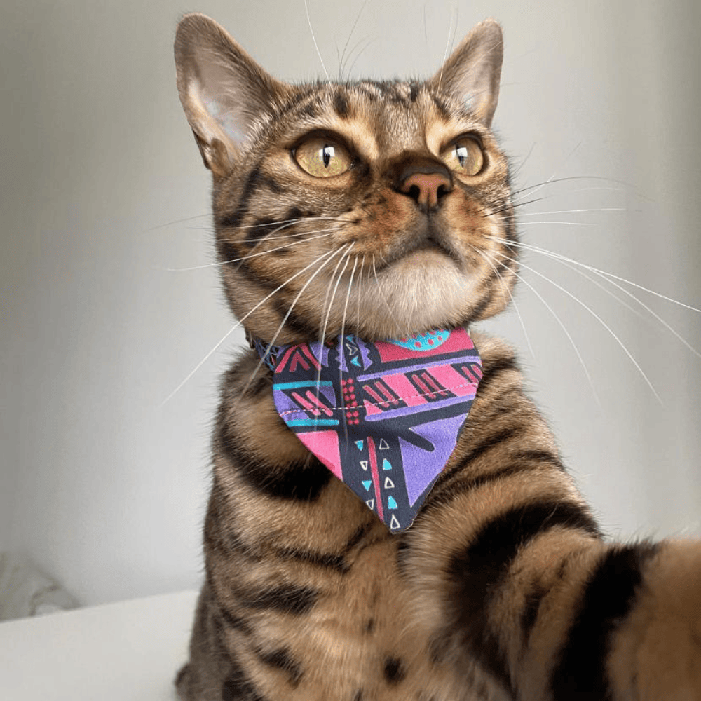 Handmade British Cat Bandana Ethical Cat Gift Company